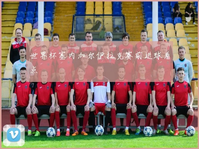 世界杯塞内加尔伊拉克赛前进球看点