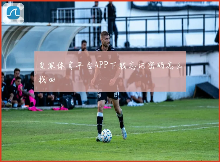皇家体育平台APP下载忘记密码怎么找回